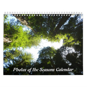 Calendário 12 Meses de Fotos das Estações, 7ª Edição