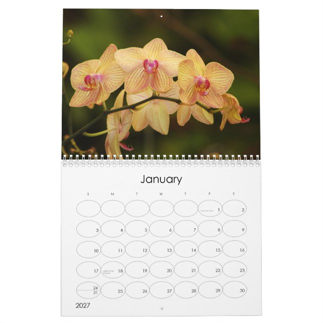 Calendário 12 meses de orquídeas bonitas (Jan 2027)