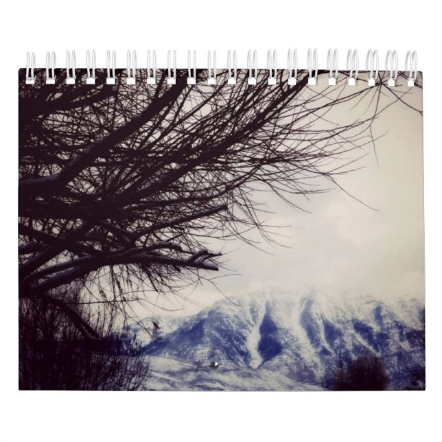 Calendário 12 meses do Dutch do ano/calendário de Bélgica (Capa)