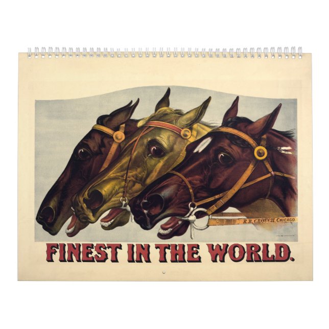 Calendário 12 meses Finest of the World Calendar (Capa)