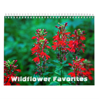 Calendário #1 de Favoritos do Wildflower