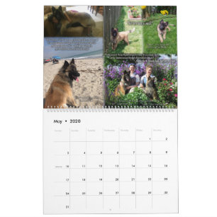 Calendário 1 De Revisão Da Cópia Do Cachorro 1