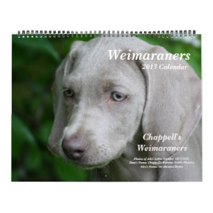 Calendário 1 de Weimaraner