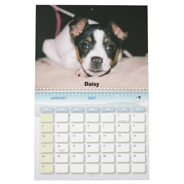 Calendário 2007 de Terrier de rato (Jan 2027)