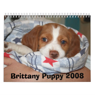 Calendário 2008 do filhote de cachorro de Brittany