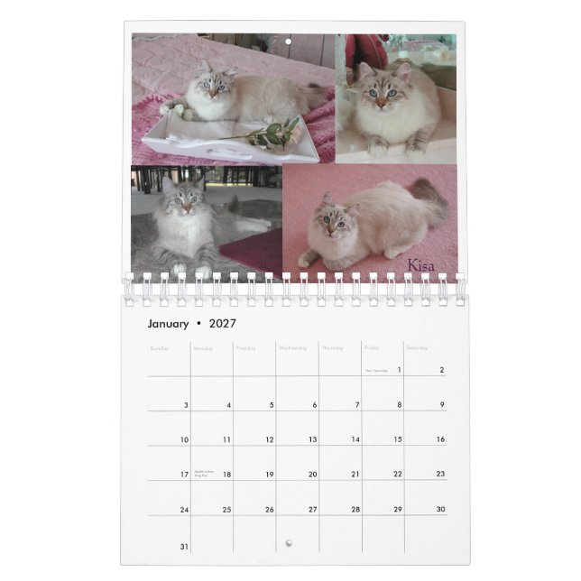 Calendário 2008 manutenção programada Siberian dos gatos (Jan 2027)