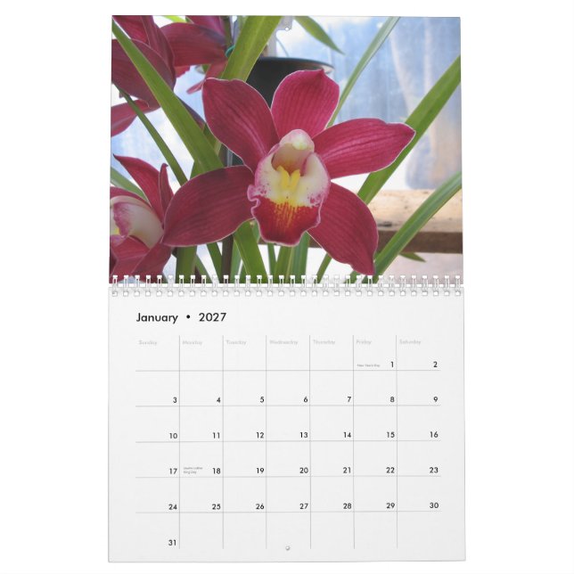 Calendário 2008 um ano de orquídeas (Jan 2027)