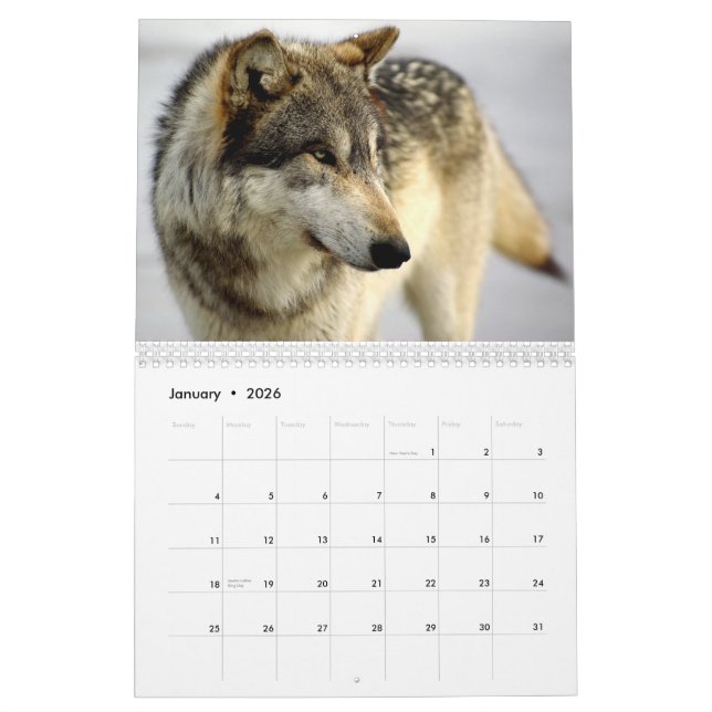 Calendário 2009 (Jan 2026)