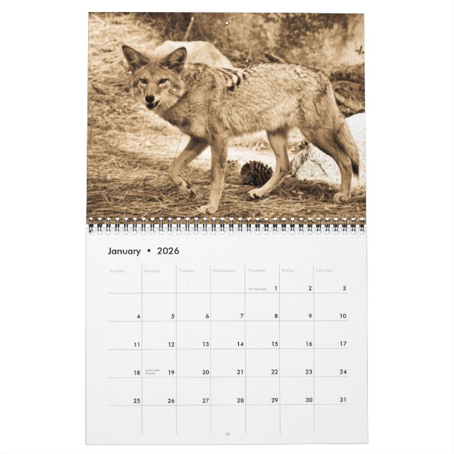 Calendário 2009 (Jan 2026)