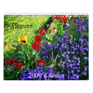 Calendário 2009,