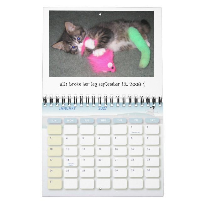 Calendário 2009-2010 do dia de Alli mini (Jan 2027)