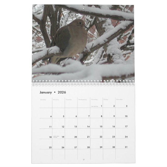 Calendário 2009 do "calendários do jardim gay" (Jan 2026)