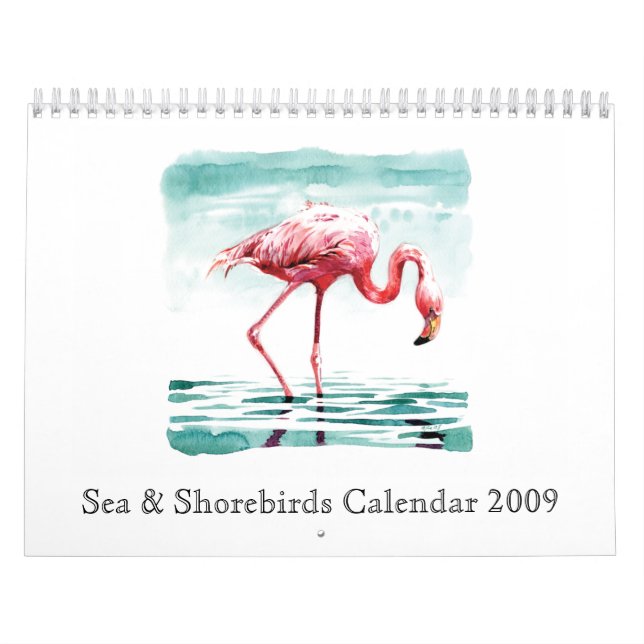 Calendário 2009 do mar & dos Shorebirds (Capa)