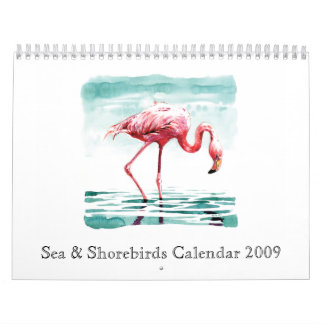 Calendário 2009 do mar & dos Shorebirds