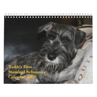 Calendário 2009 do Schnauzer padrão do ursinho