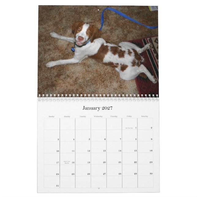 Calendário 2009 dos filhotes de cachorro de (Jan 2027)