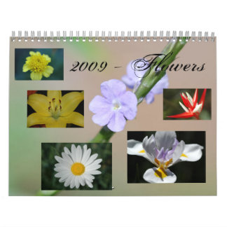 Calendário 2009 - Flores