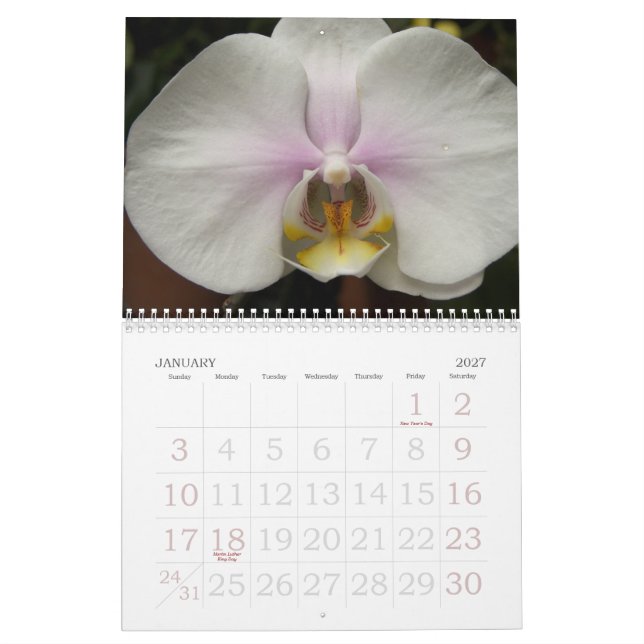 Calendário 2009 flores (Jan 2027)