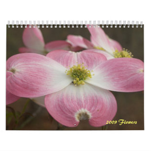 Calendário 2009 flores