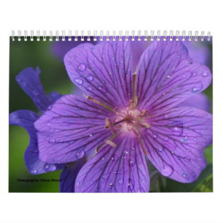 Calendário 2009 photgraphed por Stacey Morris