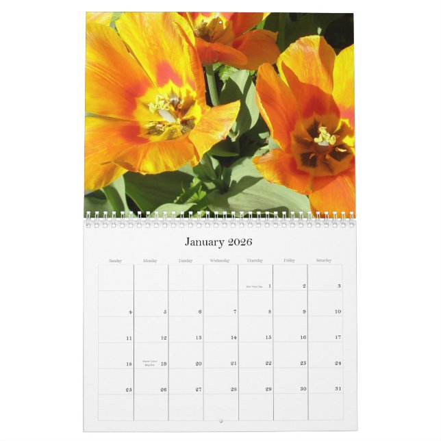 Calendário 2009 photgraphed por Stacey Morris (Jan 2026)