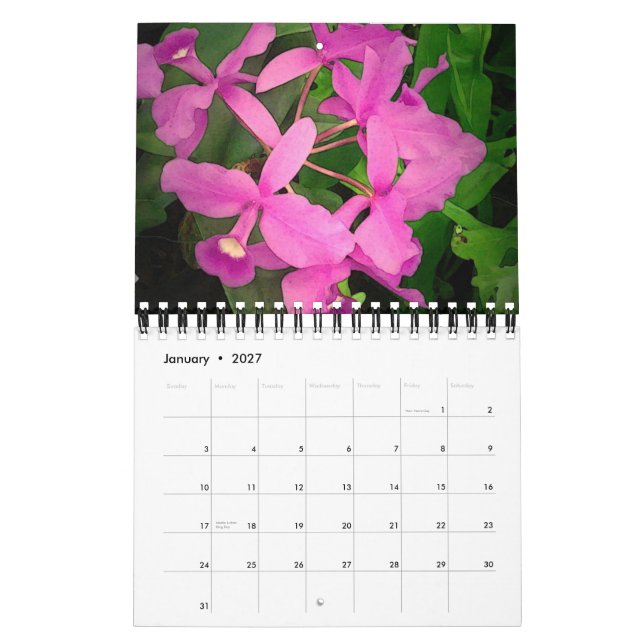 Calendário 2009: Um ano de orquídeas de Havaí (Jan 2027)