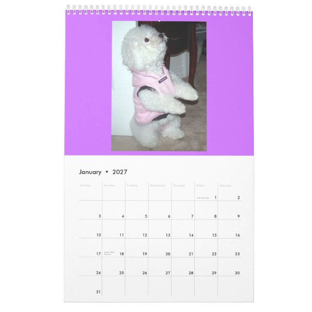 Calendário 2010 (Jan 2027)