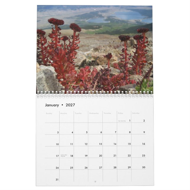 Calendário 2010 da natureza (Jan 2027)
