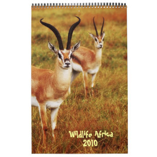 Calendário 2010 de África dos animais selvagens -