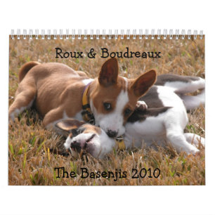 Calendário 2010 de Basenji da fotografia do falc