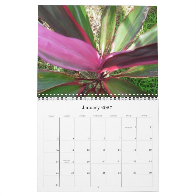 Calendário 2010 de Havaí (Jan 2027)