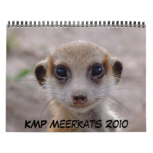 Calendário 2010 de KMP