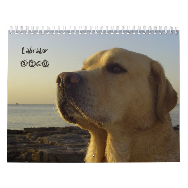 Calendário 2010 de labrador retriever (Capa)