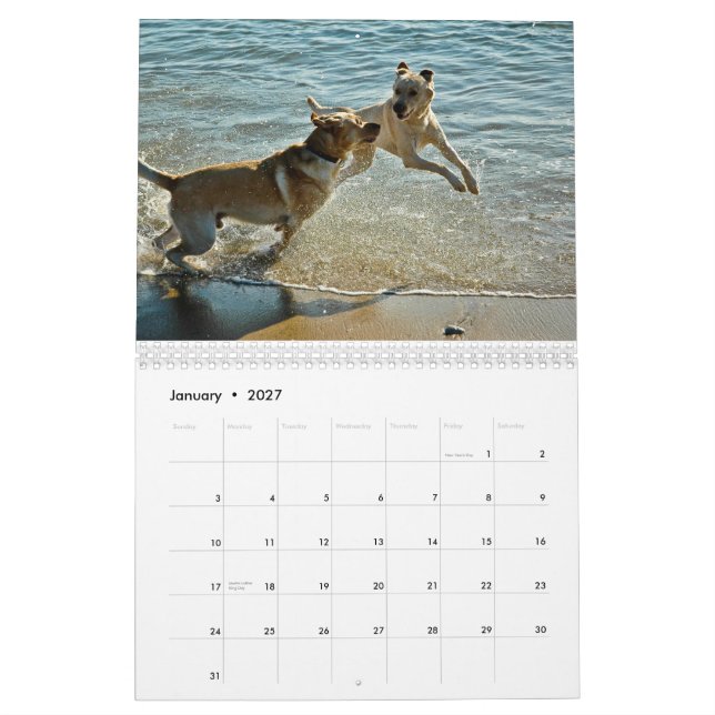 Calendário 2010 de Oceandoggy (Jan 2027)