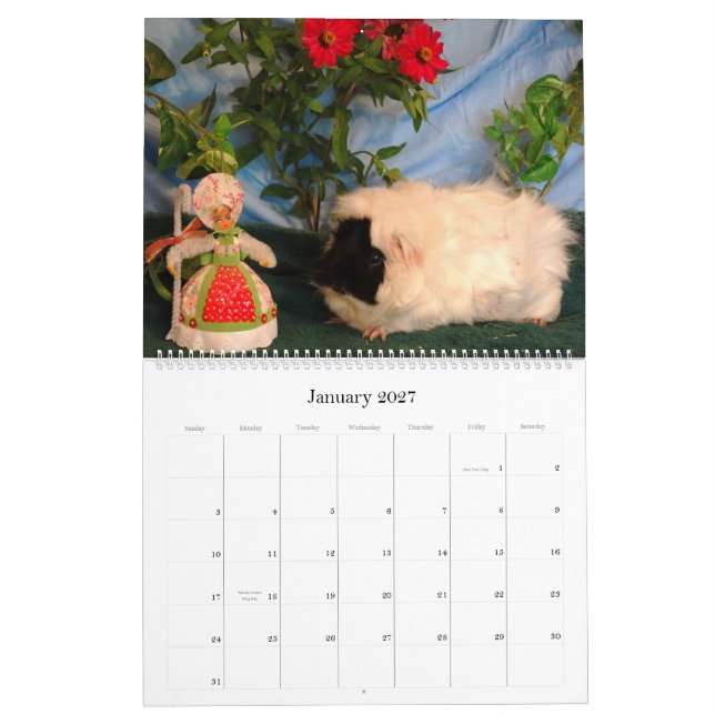 Calendário 2010 do amor da cobaia (Jan 2027)