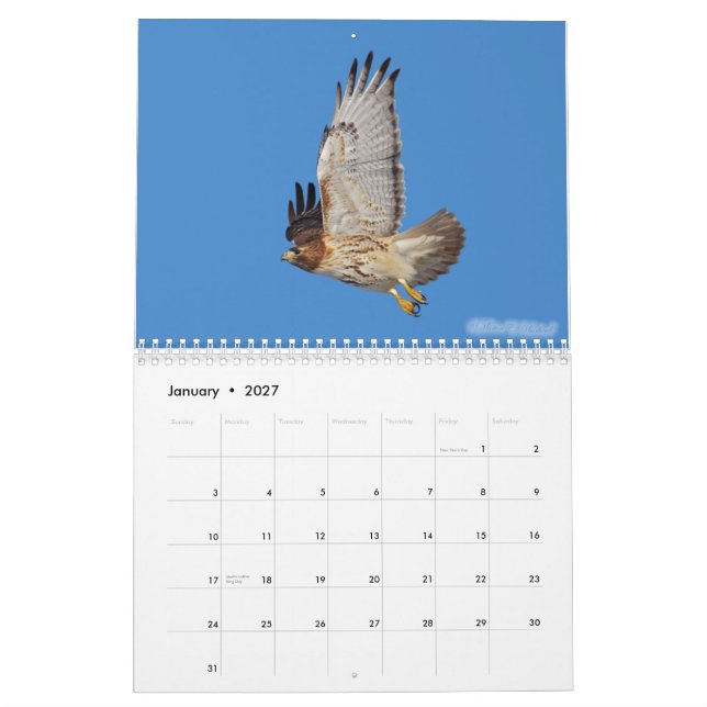 Calendário 2010 do raptor (Jan 2027)