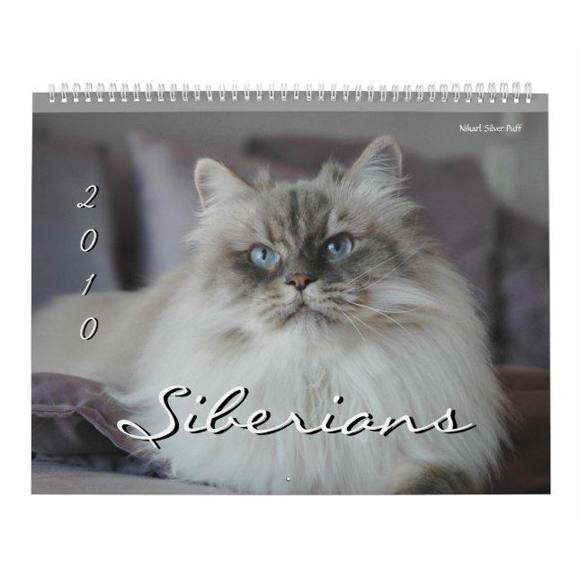 Calendário 2010 Siberianos Cats & Kittens 3 (Capa)