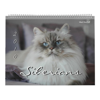 Calendário 2010 Siberianos Cats & Kittens 3