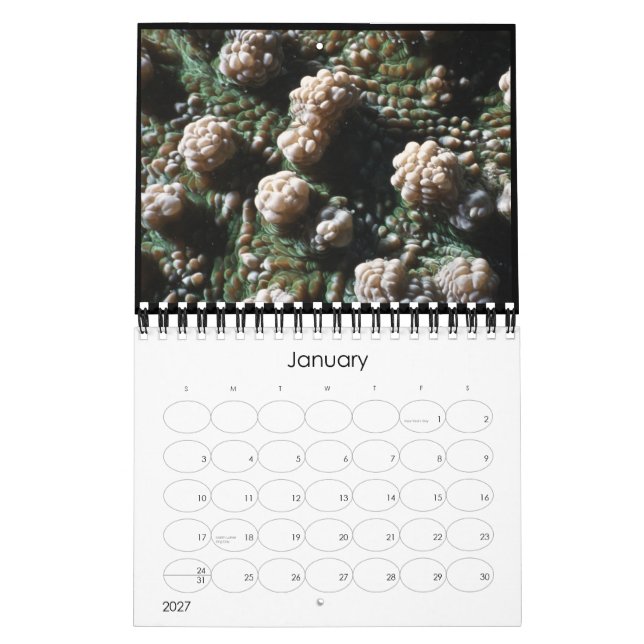 calendário 2010 subaquático (Jan 2027)