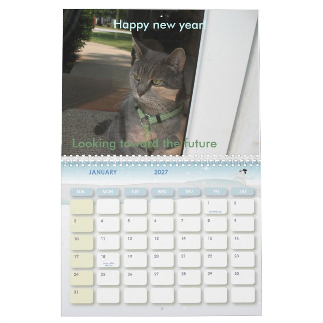 Calendário 2010: Um ano com gatos (Jan 2027)