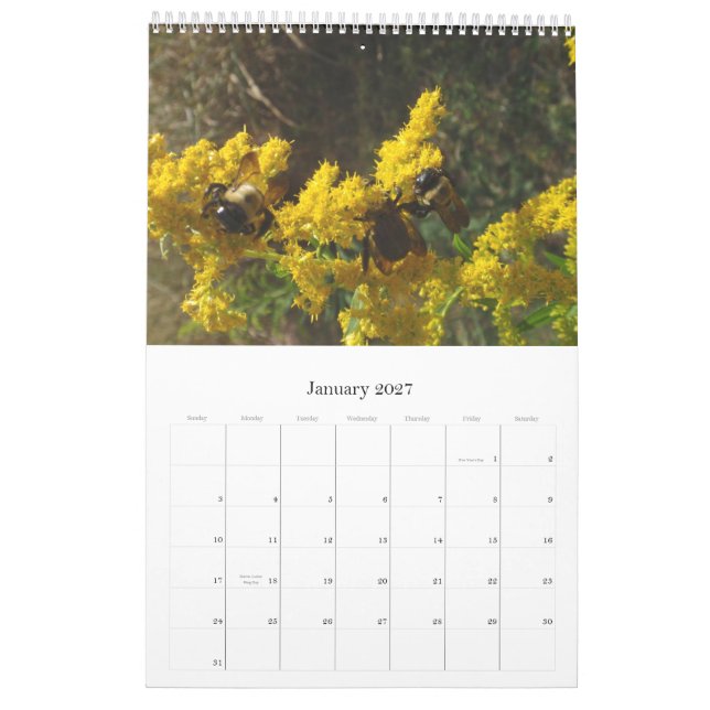 Calendário 2011 (Jan 2027)