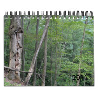 Calendário 2011