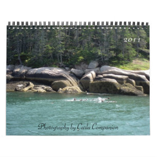 Calendário 2011