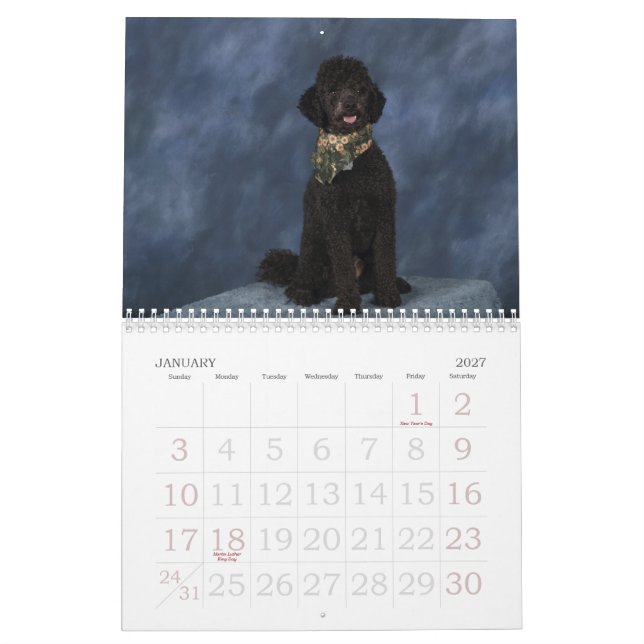 CALENDÁRIO 2011 (Jan 2027)