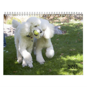 CALENDÁRIO 2011