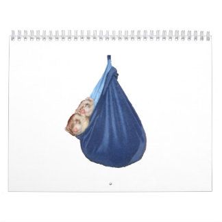 Calendário 2011 da doninha