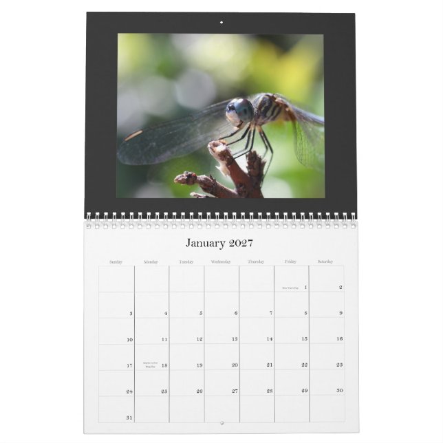 Calendário 2011 da libélula (Jan 2027)