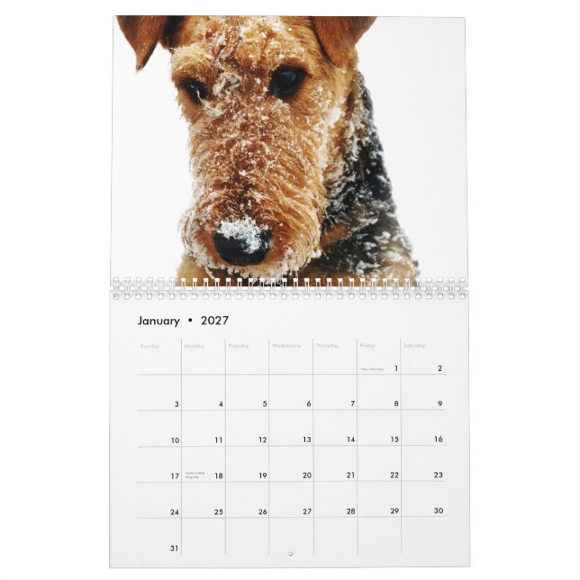 Calendário 2011 de Airedale Terrier (Jan 2027)