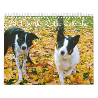 Calendário 2011 de border collie