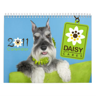 Calendário 2011 de DaisyCares